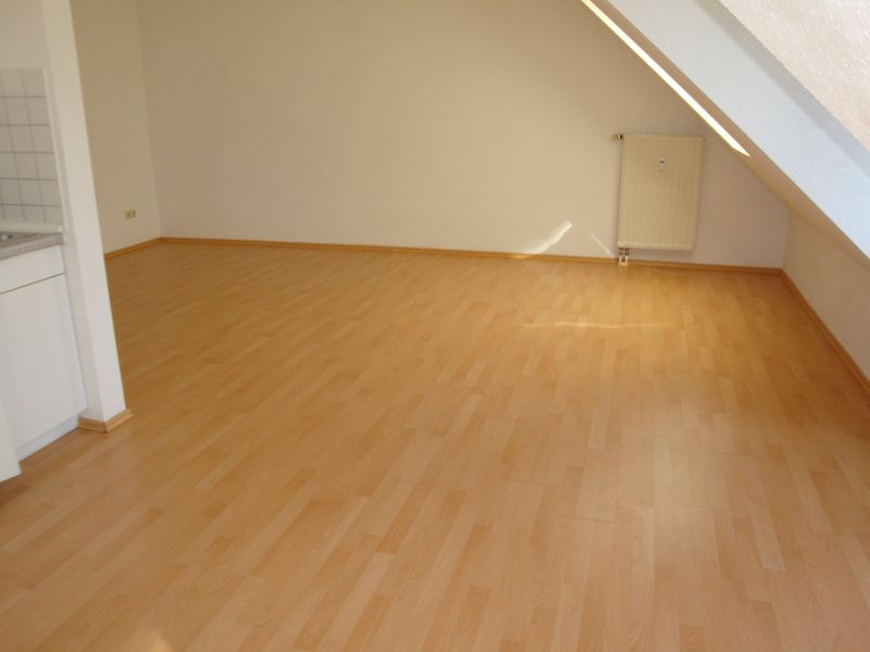 Unilage, großzügige 1-Zi.-Wohnung mit Einbauküche, Laminat, TG-Stellplatz, Wfl. ca. 39 m²